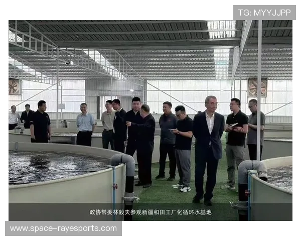 沙漠城市建奥运泳池，水源循环系统解决缺水难题